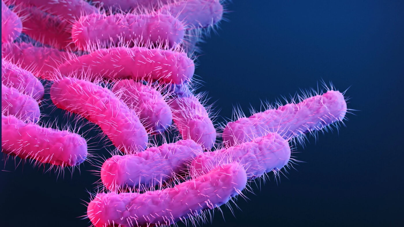 A new vaccine could vanquish a major cause of deadly diarrheal disease
